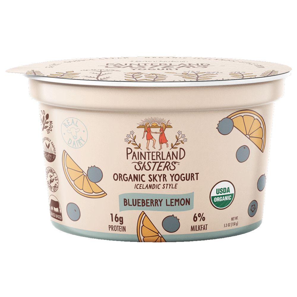 Painterland Sisters Blueberry Lemon Organic Skyr Yogurt 5.3 oz