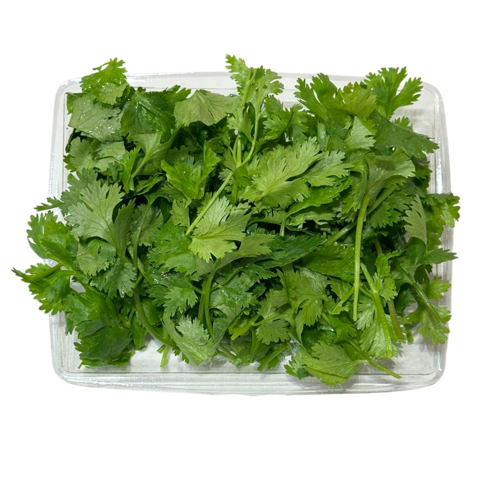 Cilantro