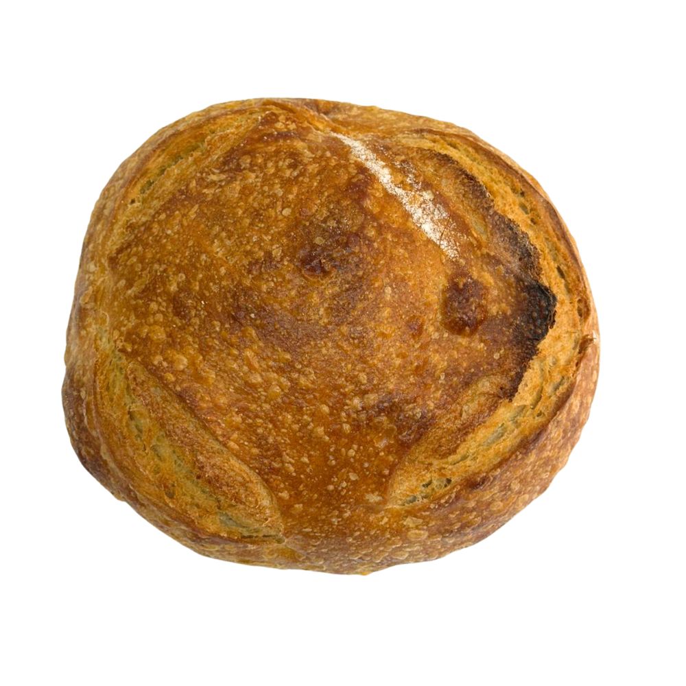 Ouri's Organic Sourdough Pane Rustico