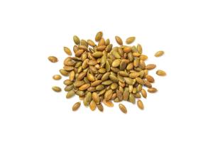 Ouri's Pepitas Roasted Salted 9 oz