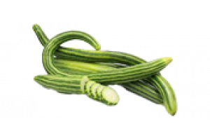 Israeli Cucumber