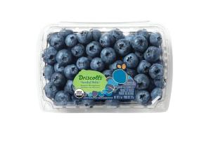 Driscoll's Sweetest Batch Blueberries 11 oz